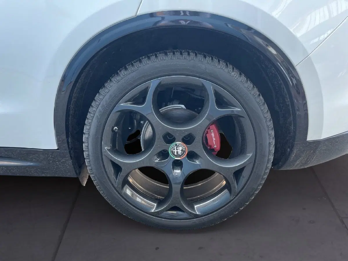 Alfa Romeo Stelvio usata a Torino (7)