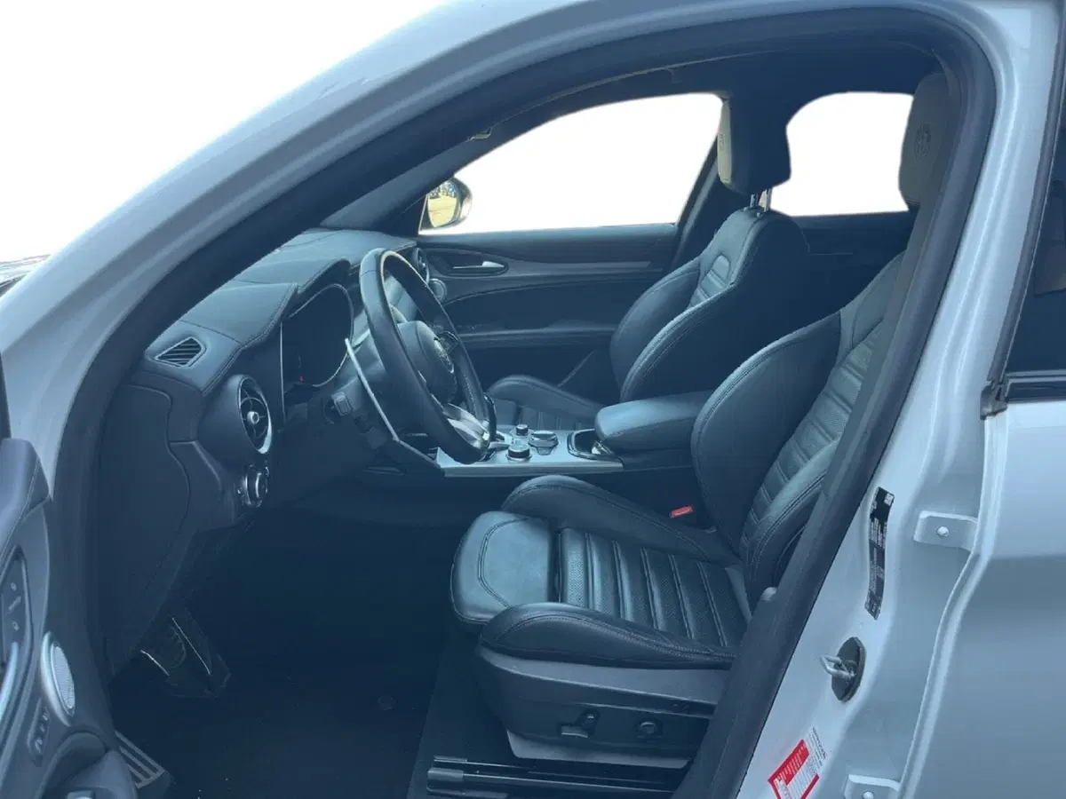 Alfa Romeo Stelvio usata a Torino (9)