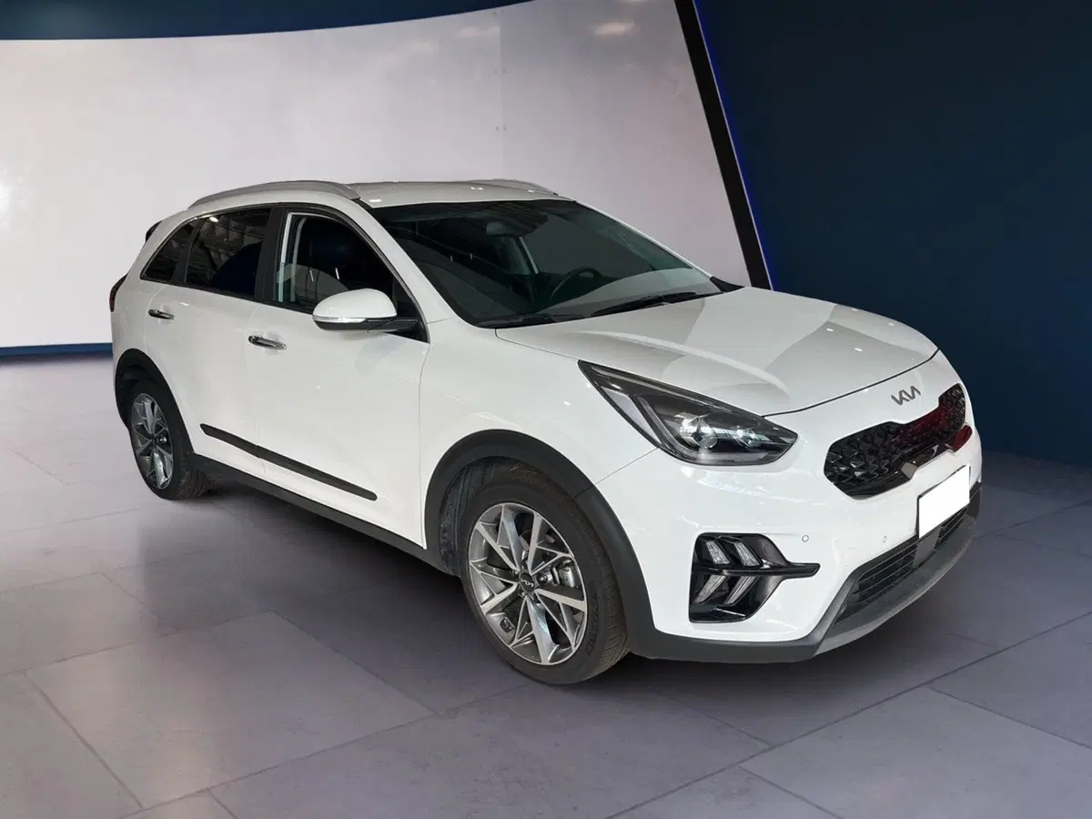 Kia Niro usata a Torino (2)
