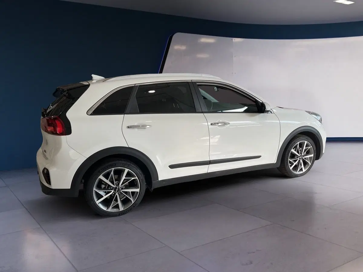Kia Niro usata a Torino (3)