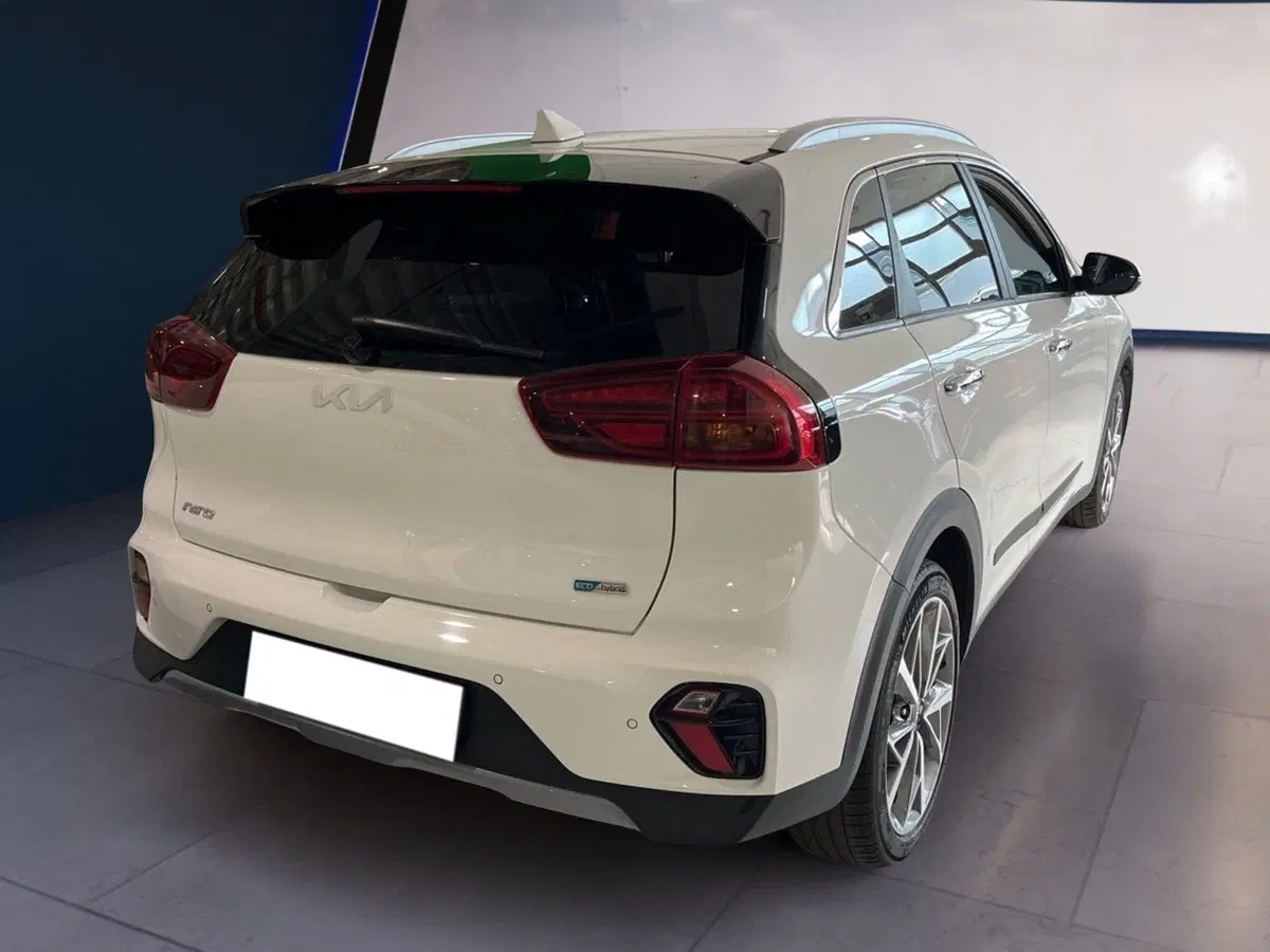 Kia Niro usata a Torino (4)