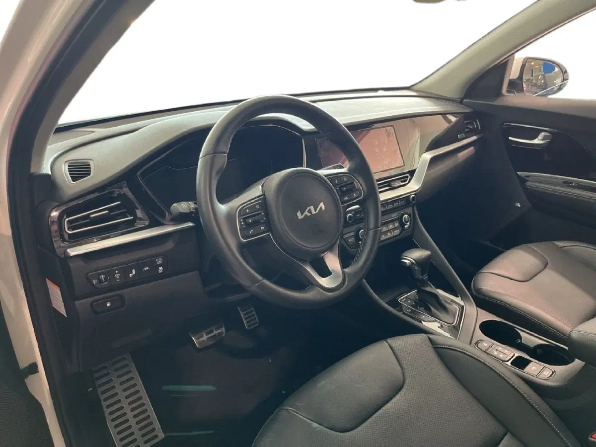 Kia Niro usata a Torino (6)
