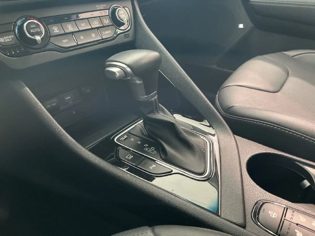 Kia Niro usata a Torino (7)
