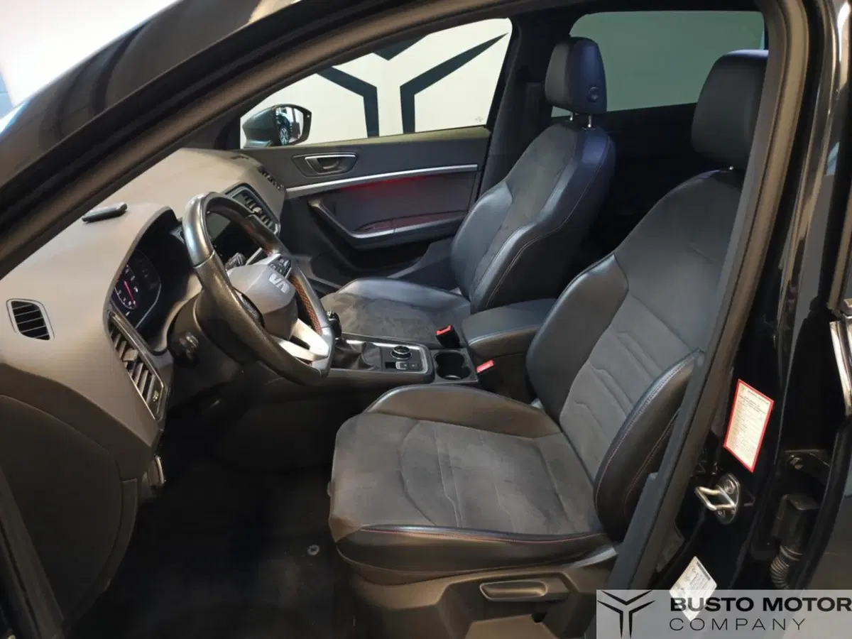 SEAT Ateca usata a Varese (7)