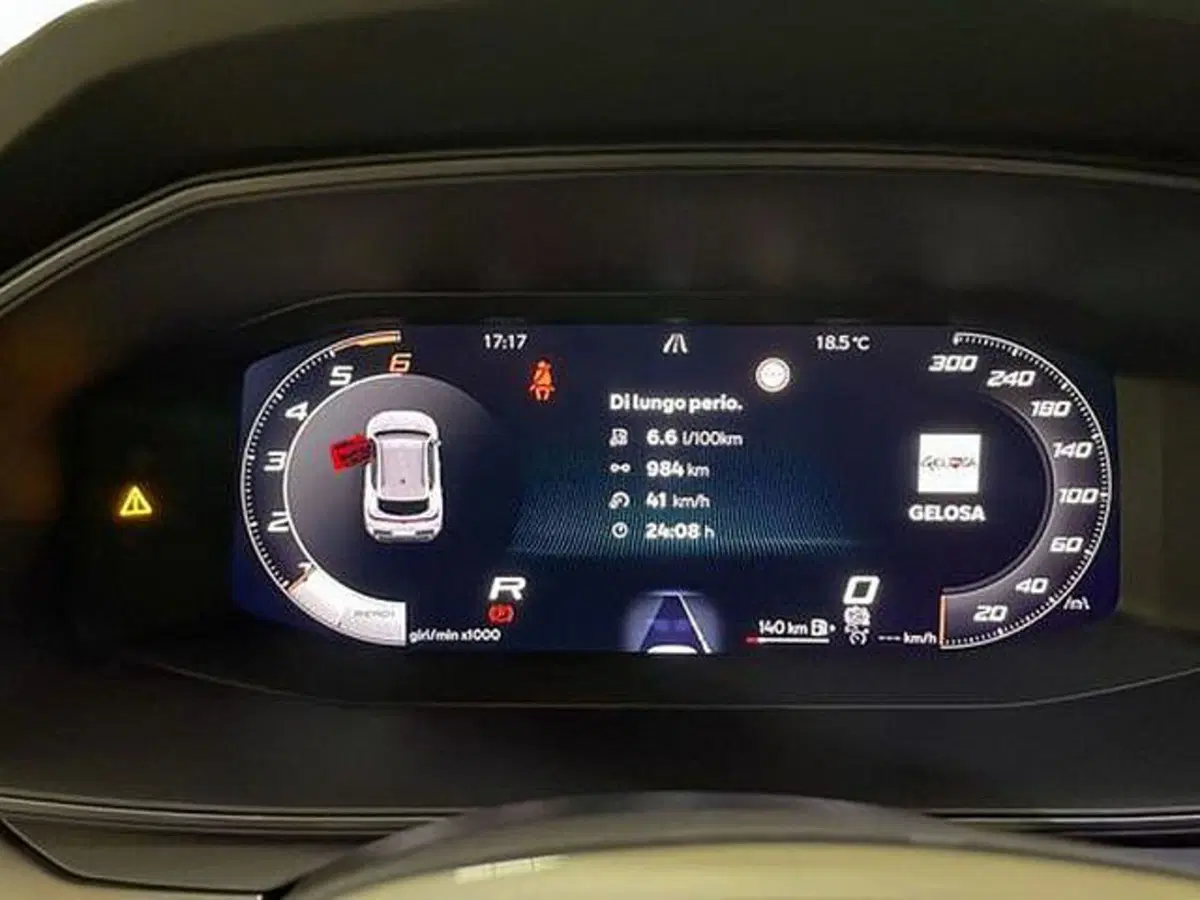 Cupra Formentor usata a Vicenza (15)