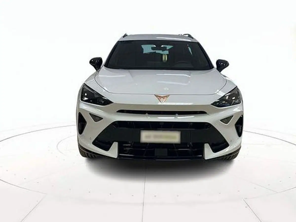 Cupra Formentor usata a Vicenza (2)