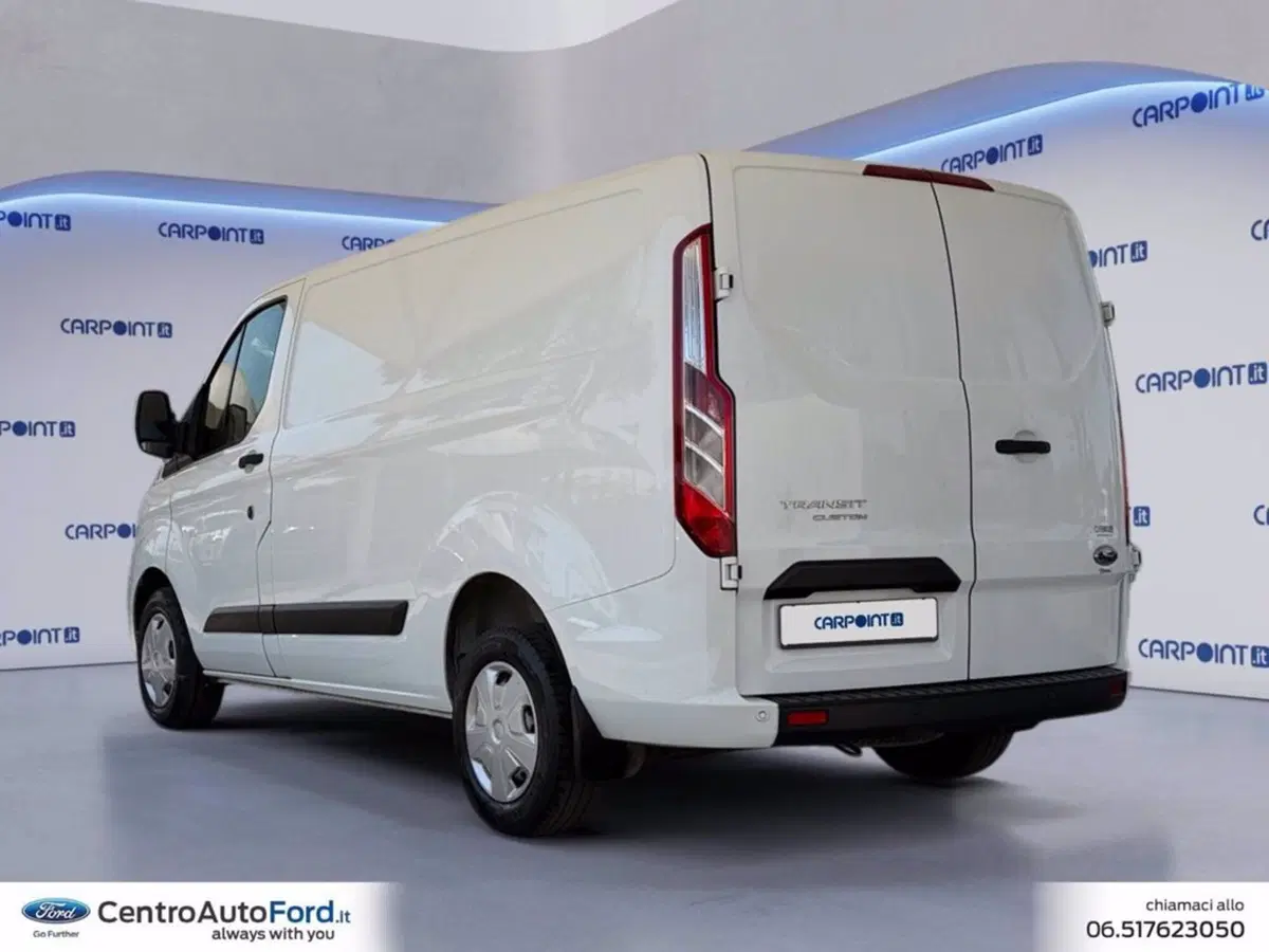 Ford Transit Custom Furgone usata a Roma (3)