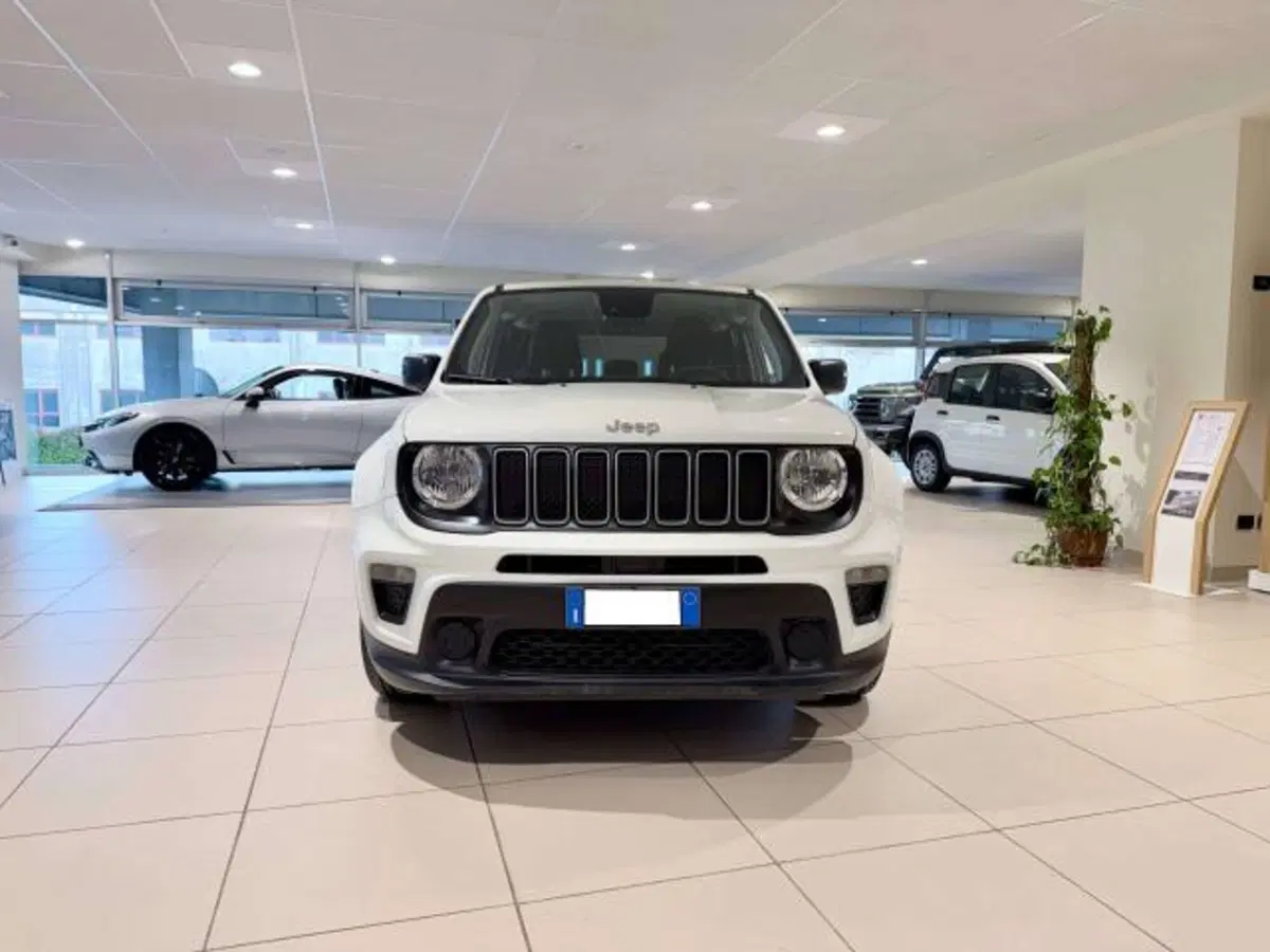 Jeep Renegade usata a Savona (3)