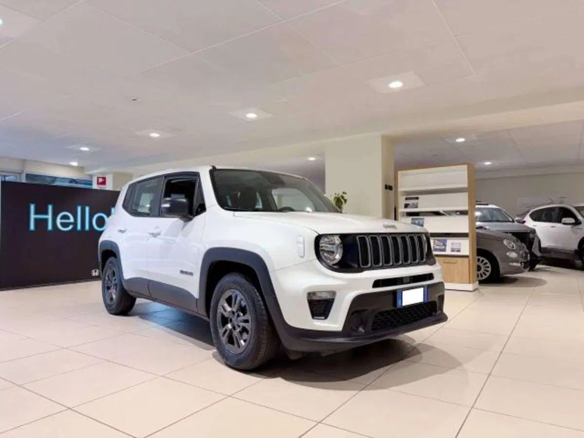 Jeep Renegade usata a Savona (4)
