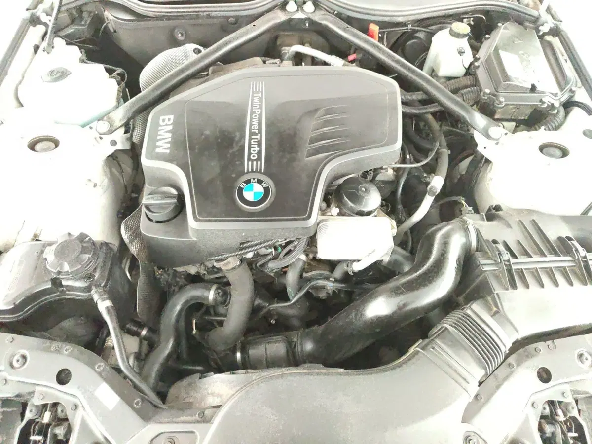 BMW Z4 Cabrio usata a Perugia (8)