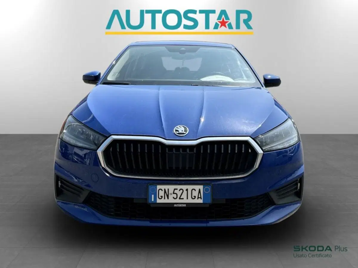 Skoda Fabia usata a Piacenza (2)
