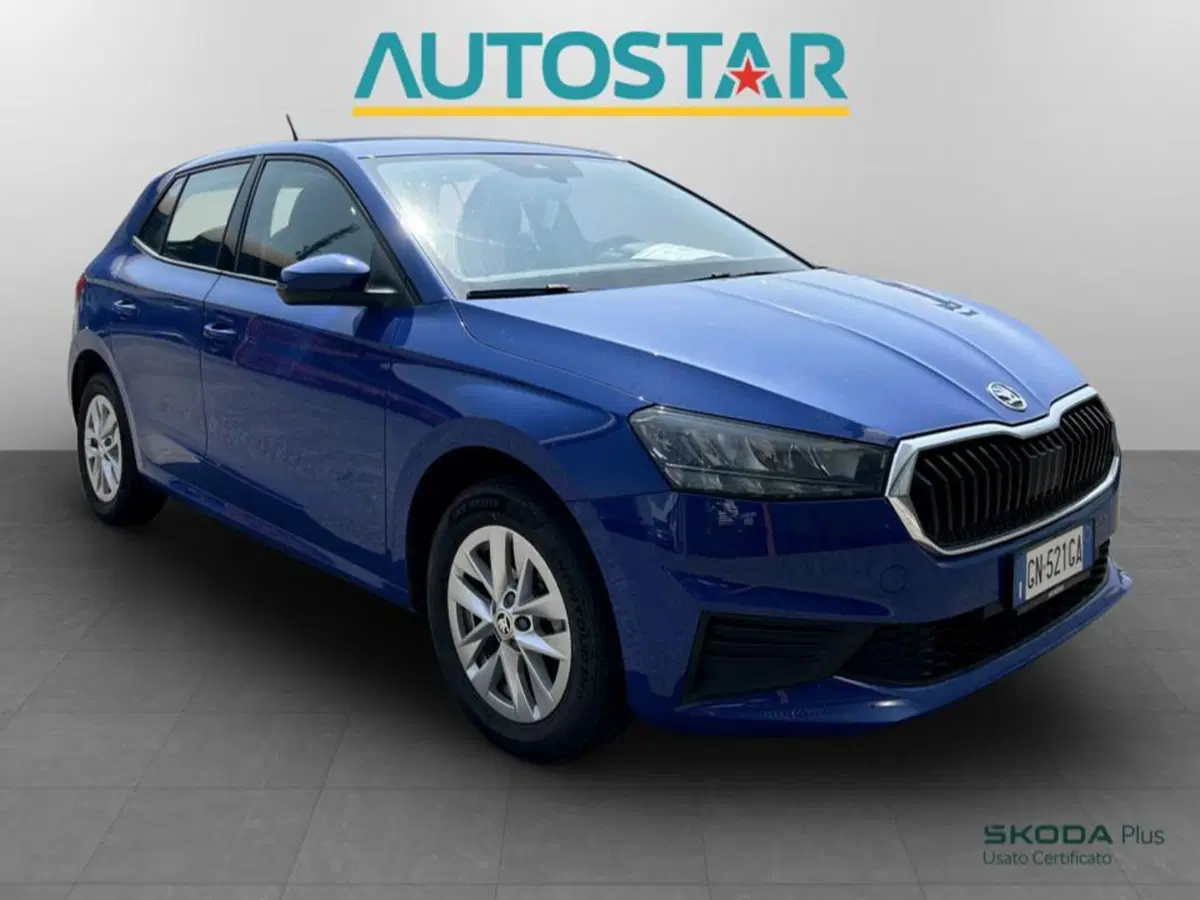 Skoda Fabia usata a Piacenza (3)