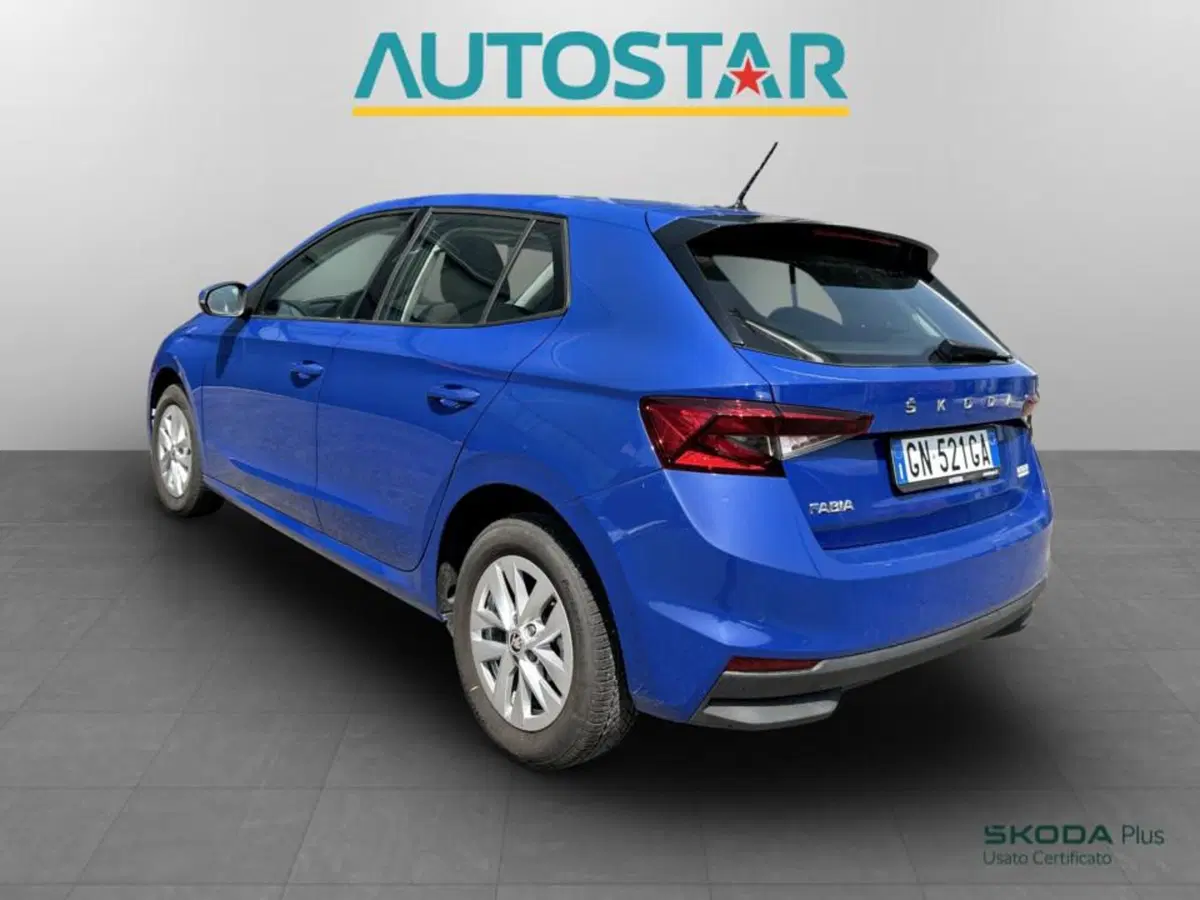 Skoda Fabia usata a Piacenza (4)
