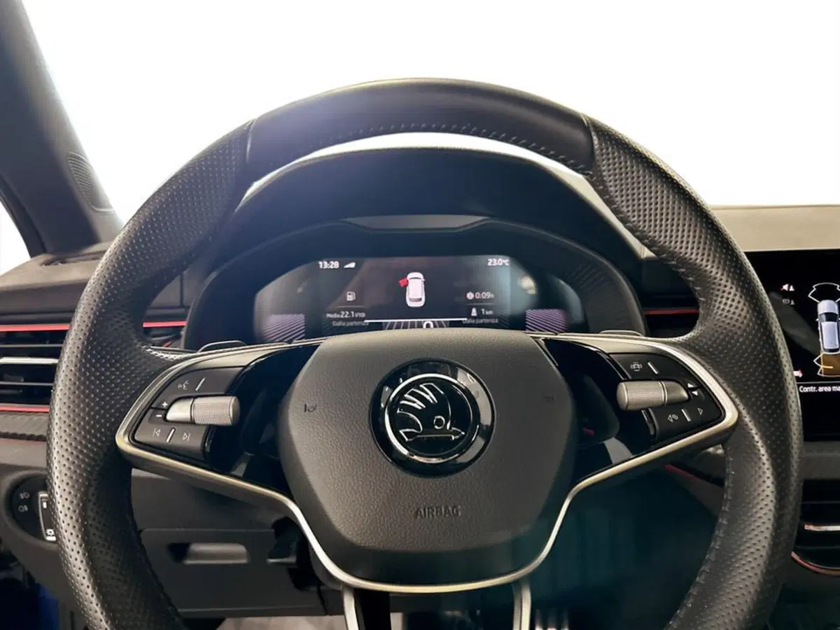 Skoda Kamiq usata a Piacenza (12)