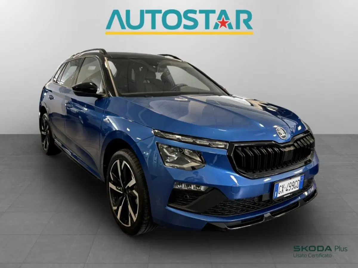 Skoda Kamiq usata a Piacenza (3)