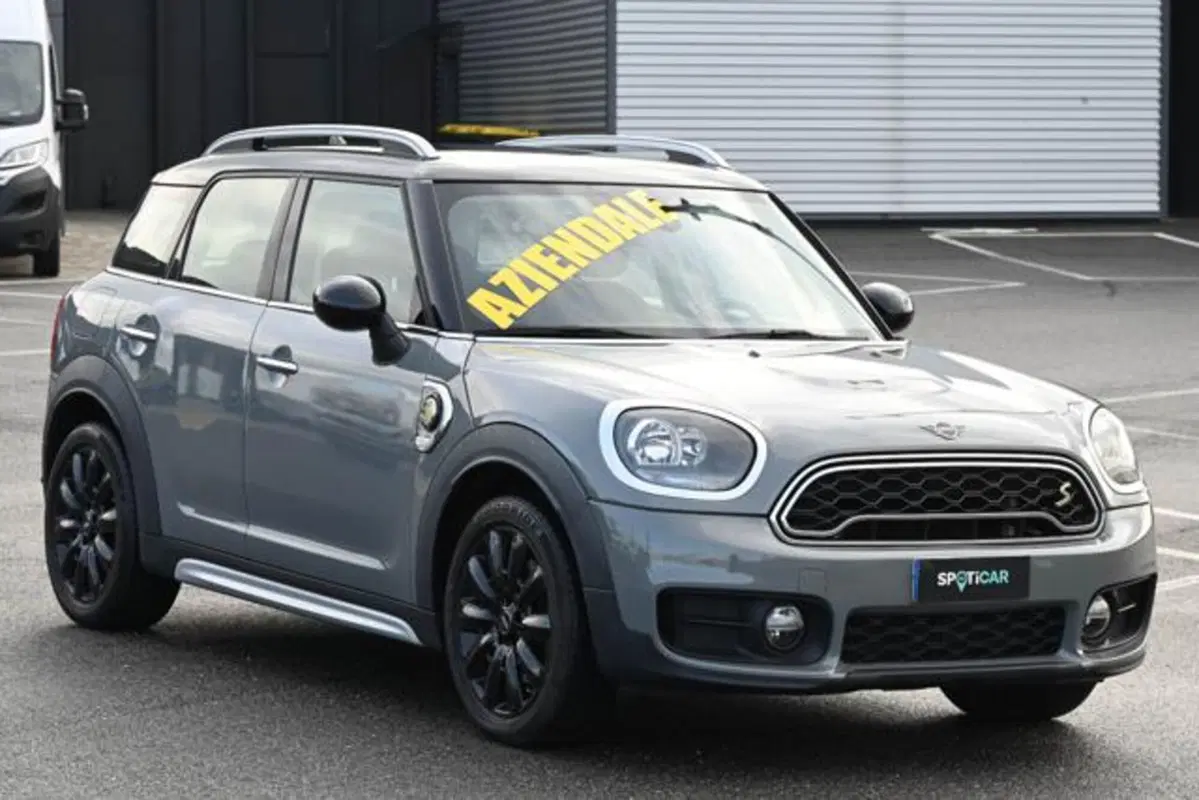MINI Mini Countryman usata a Torino (2)