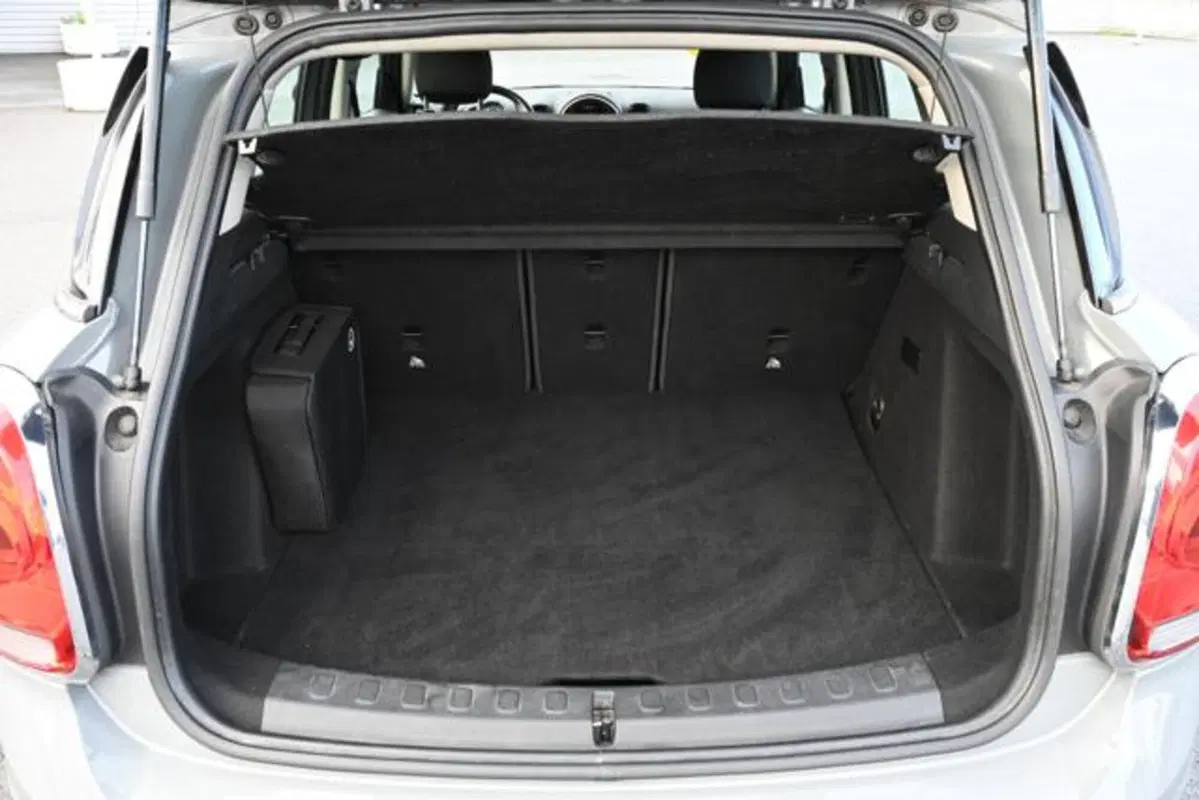 MINI Mini Countryman usata a Torino (5)