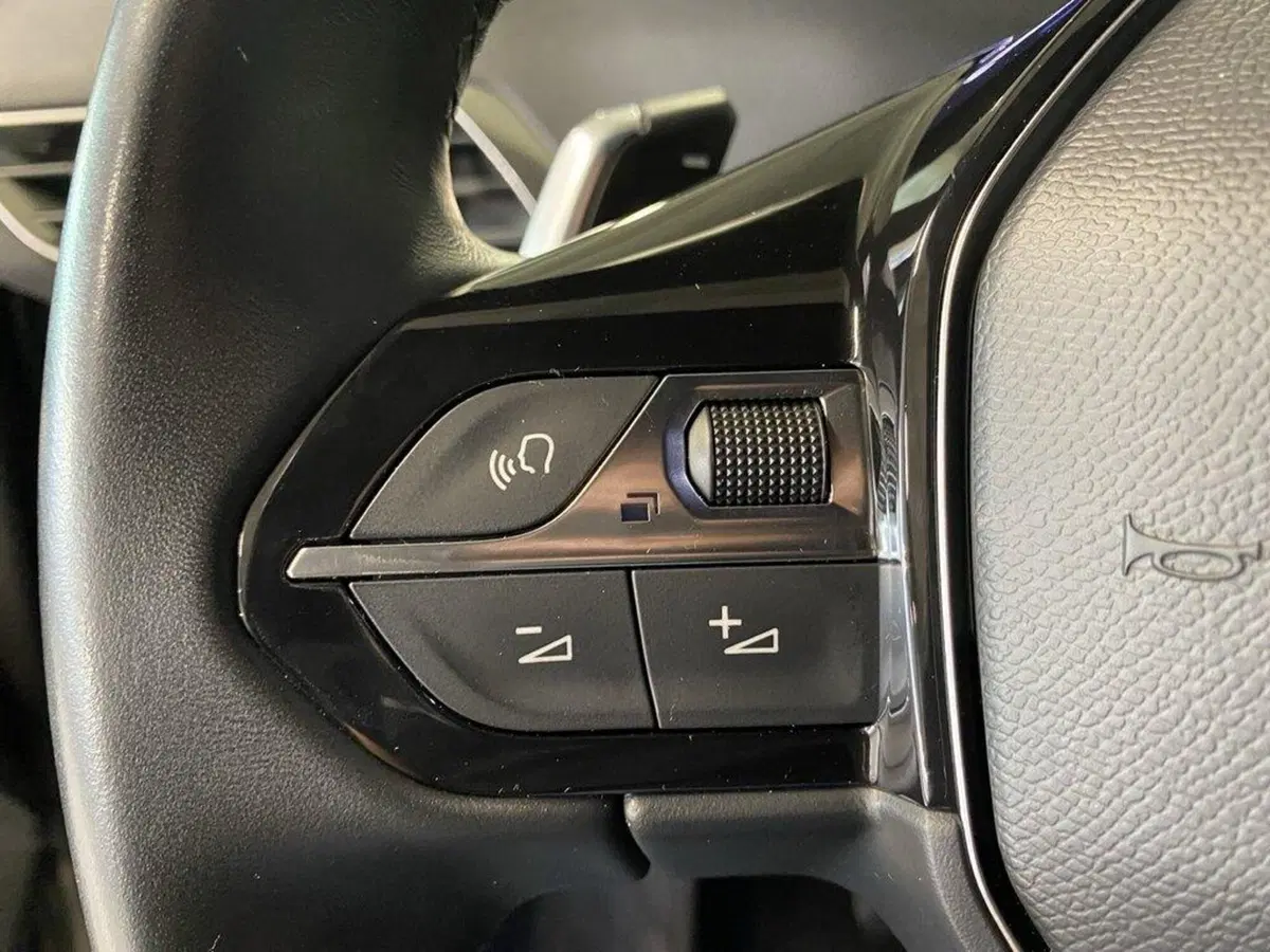 Peugeot 3008 usata a Torino (13)