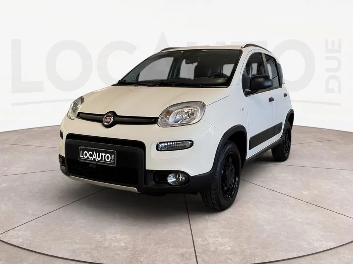Fiat Panda usata a Torino