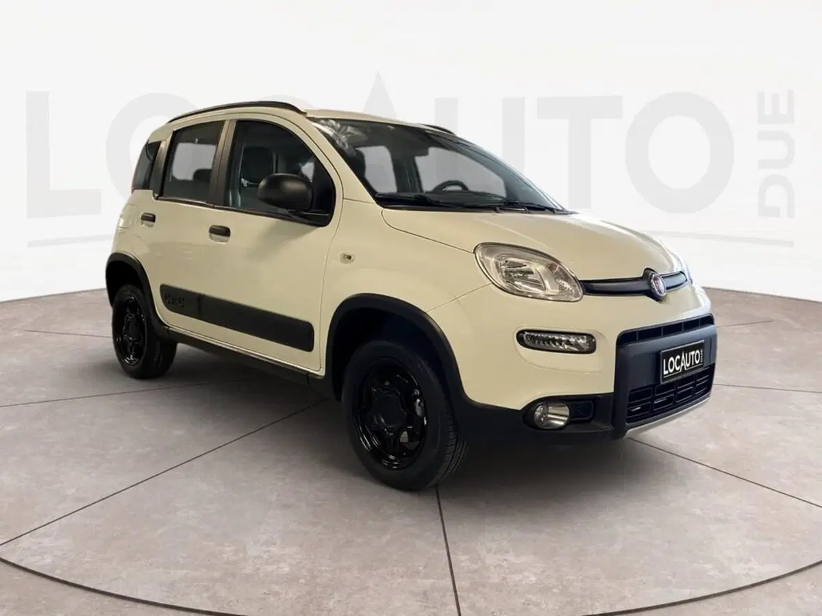 Fiat Panda usata a Torino (3)