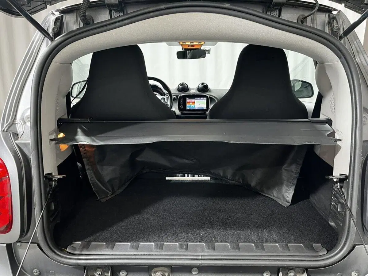 smart Fortwo usata a Sondrio (14)