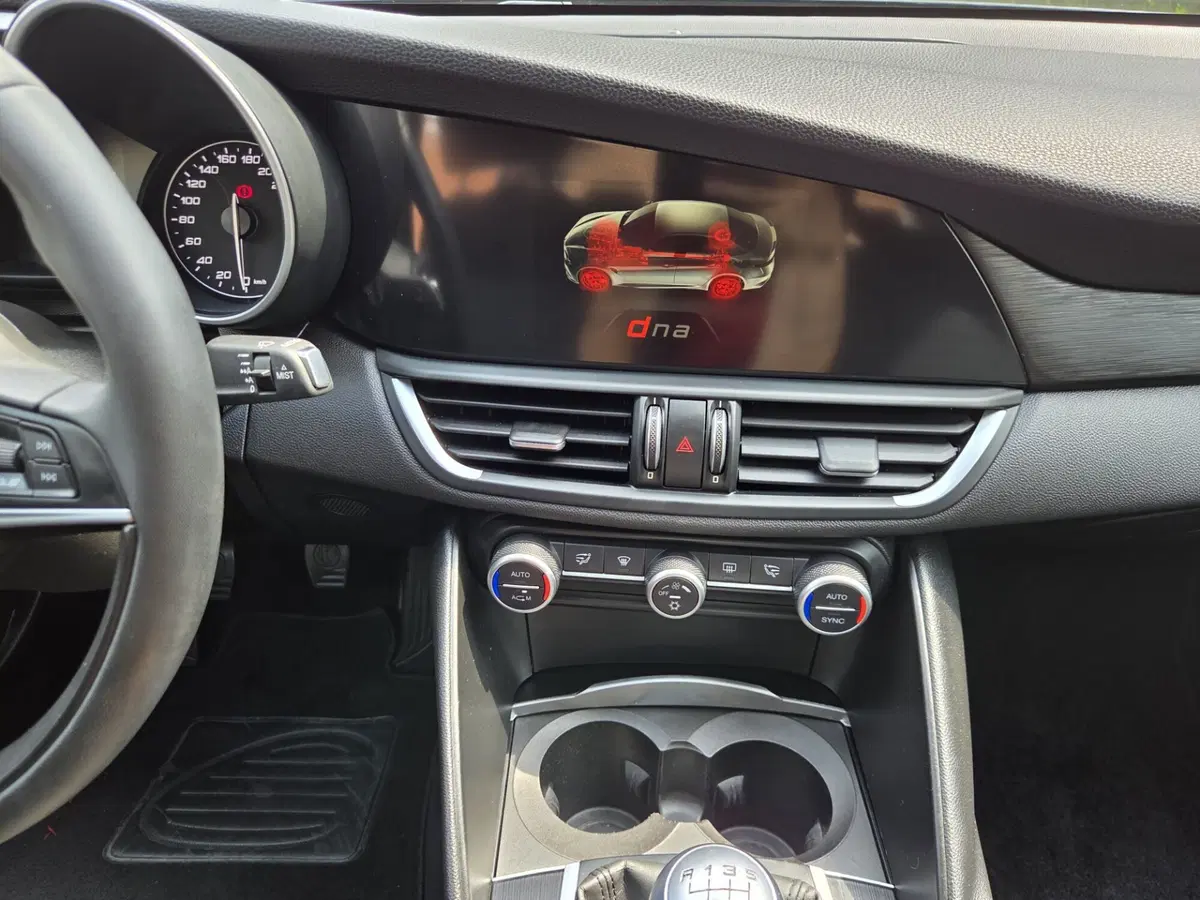 Alfa Romeo Giulia usata a Torino (11)