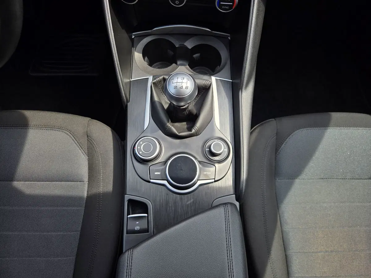 Alfa Romeo Giulia usata a Torino (19)
