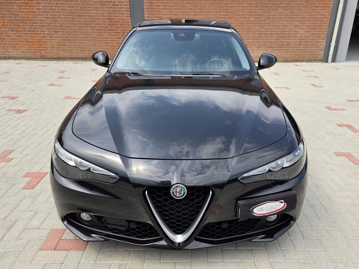 Alfa Romeo Giulia usata a Torino (5)