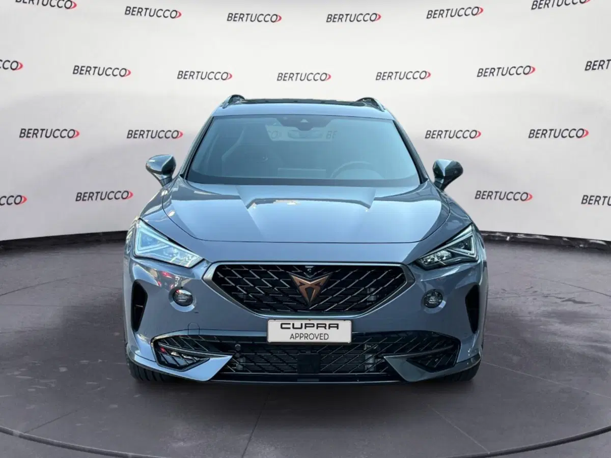 Cupra Formentor usata a Verona (2)