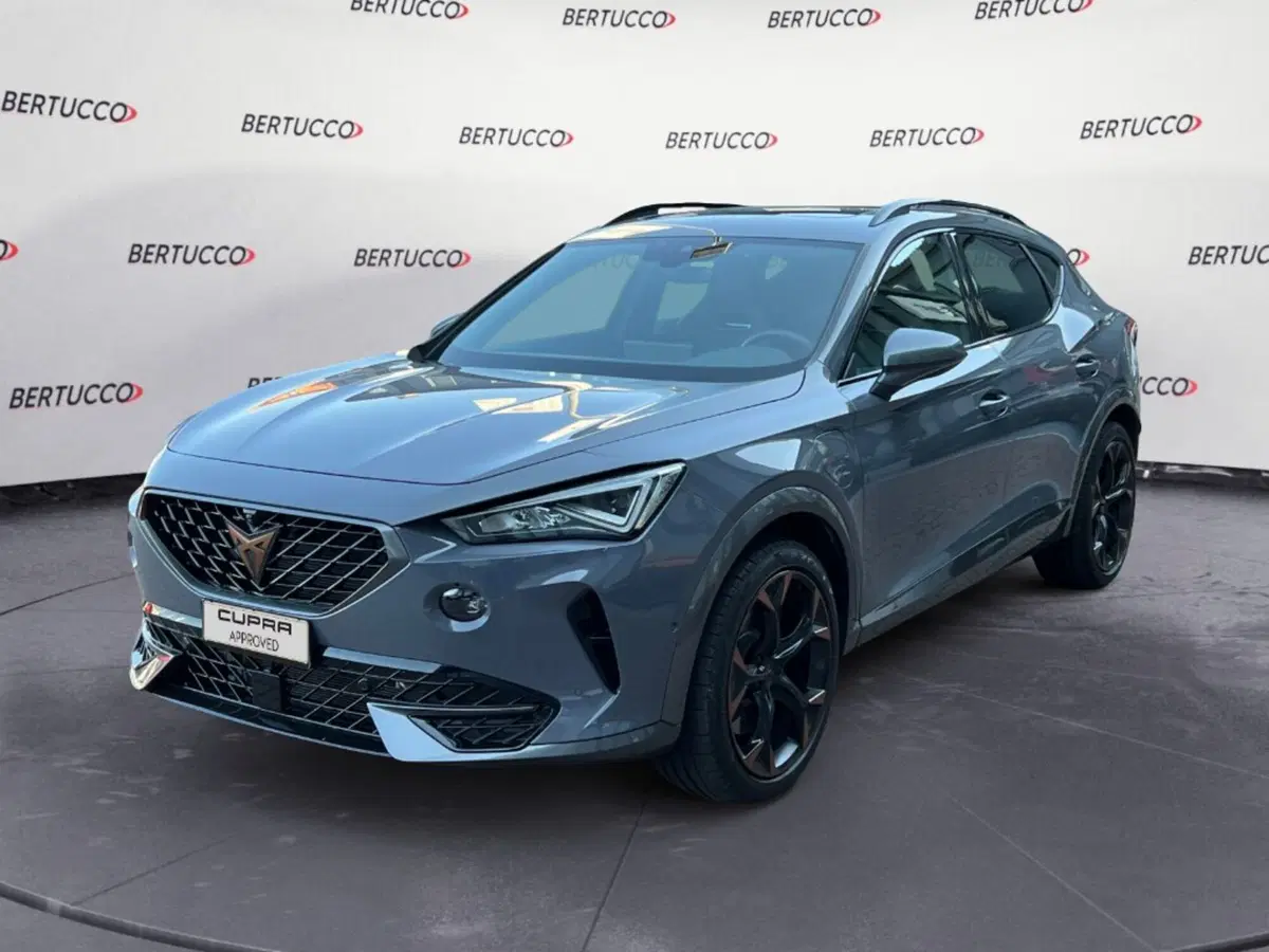 Cupra Formentor usata a Verona (3)