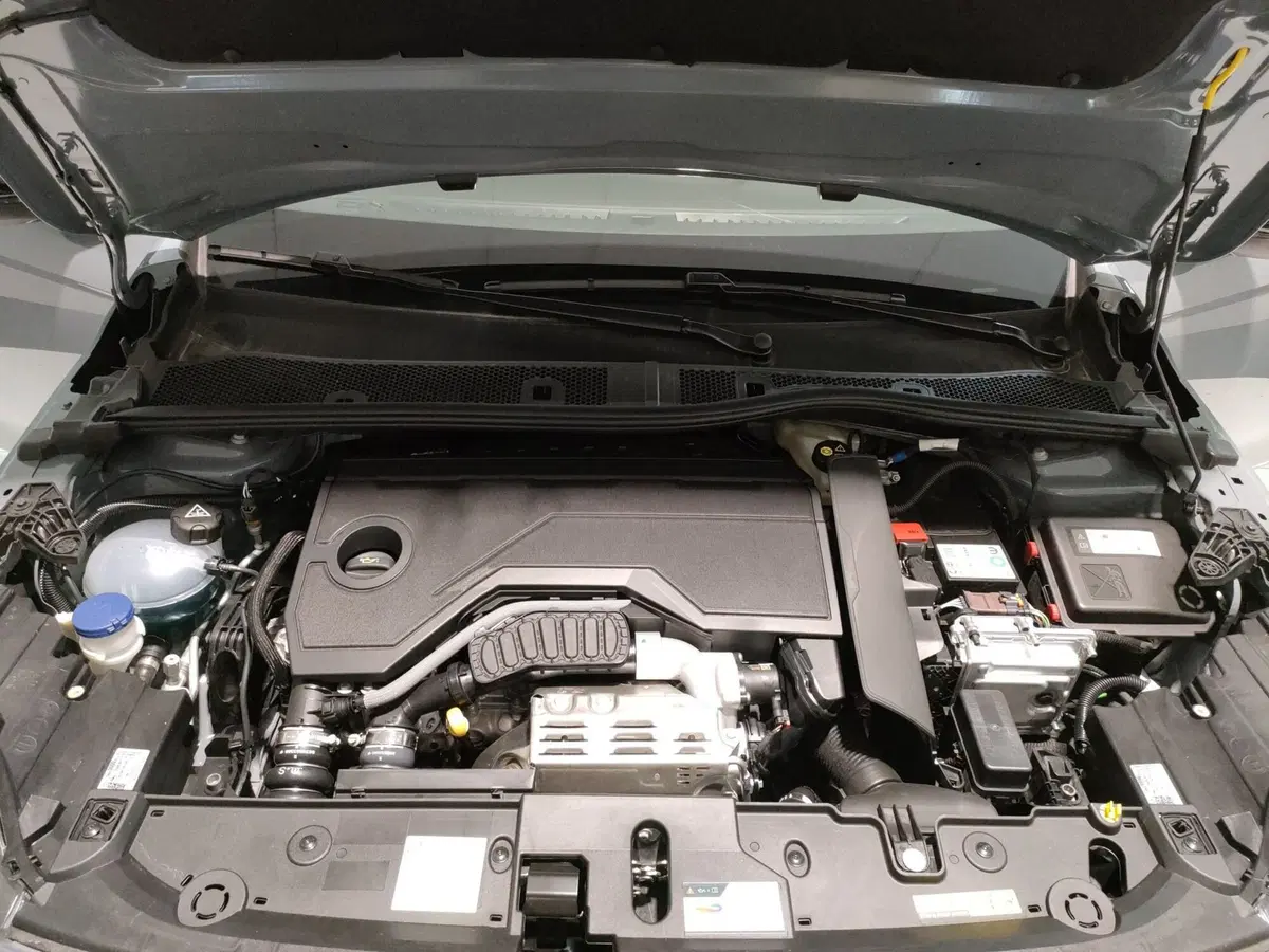 Opel Corsa nuova a Ascoli Piceno (10)