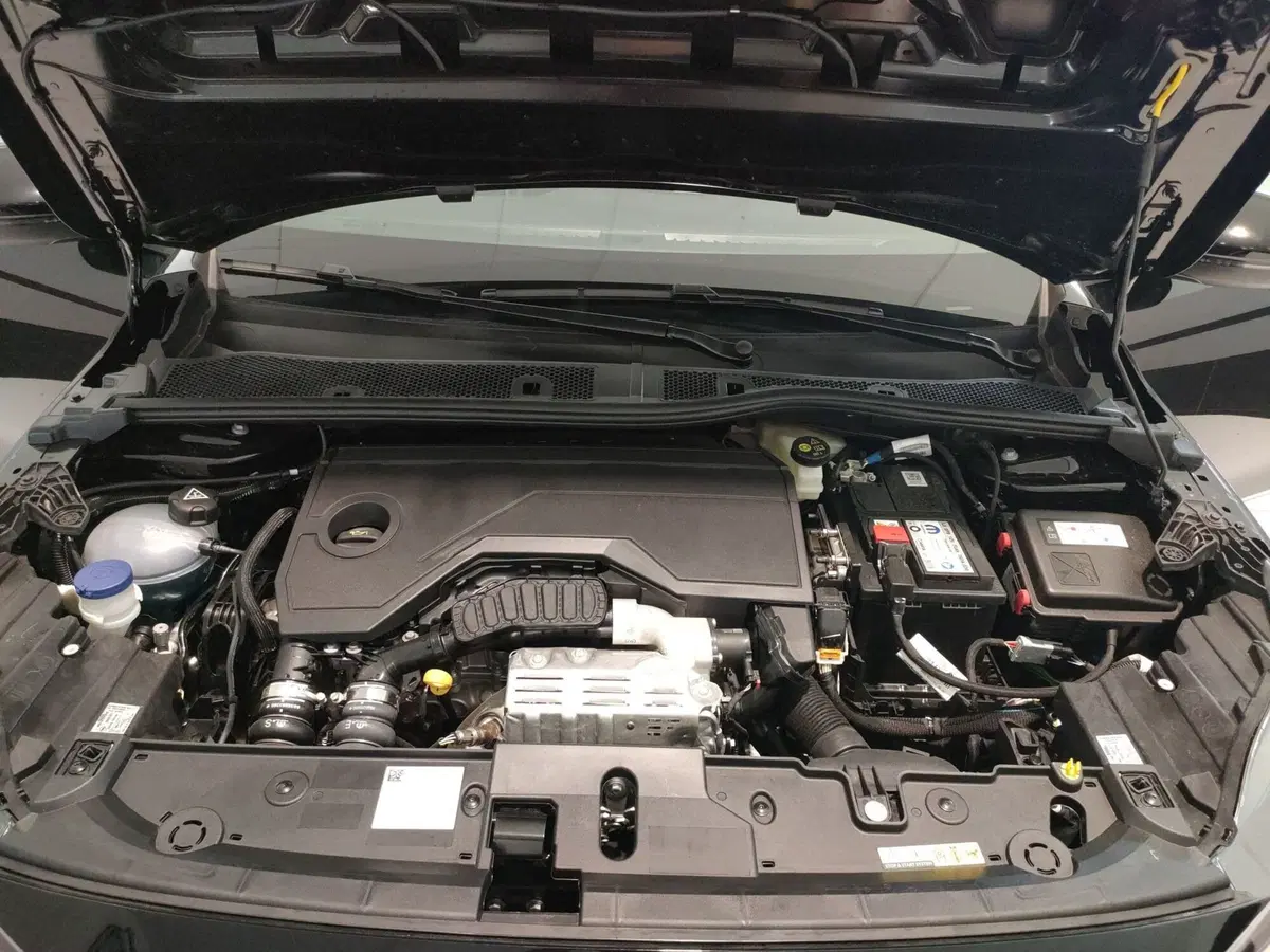 Opel Corsa nuova a Ascoli Piceno (10)