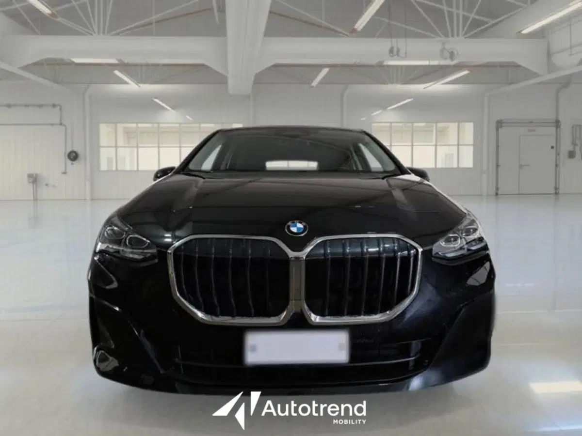 BMW Serie 2 Active Tourer usata a Bari (3)