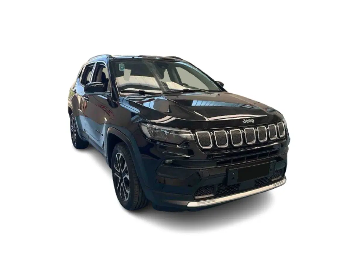 Jeep Compass usata a Bari (2)