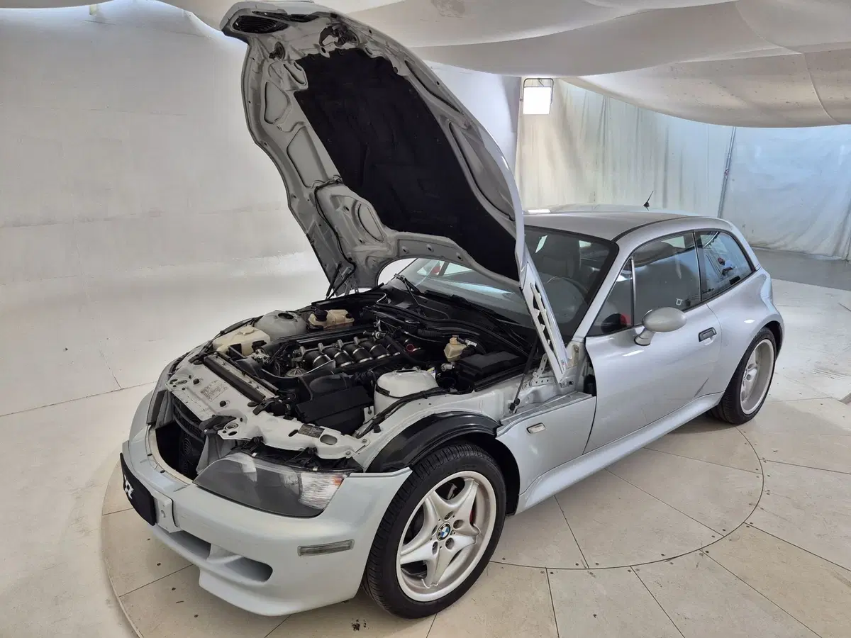 BMW Z3 Coupé usata a Torino (20)