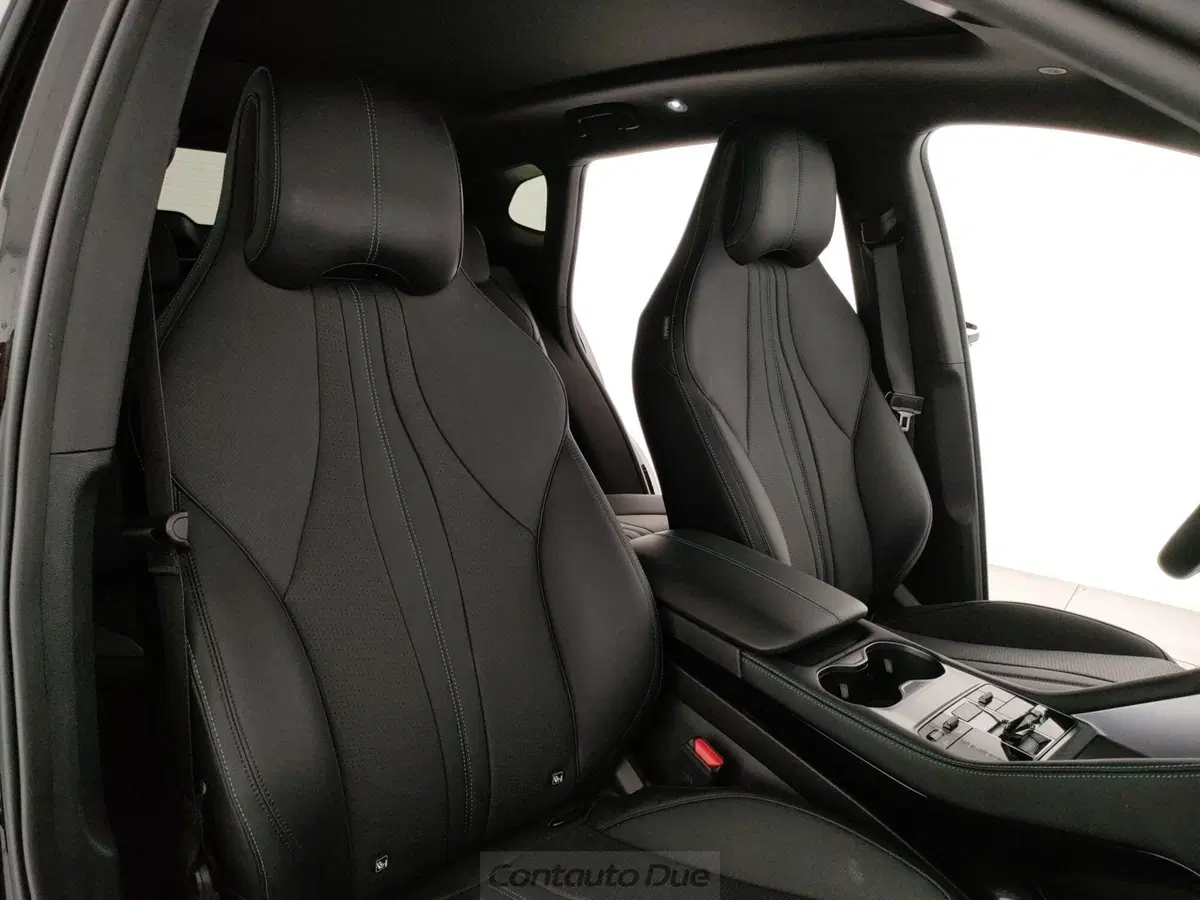 Byd Seal U DM-i usata a Caserta (15)