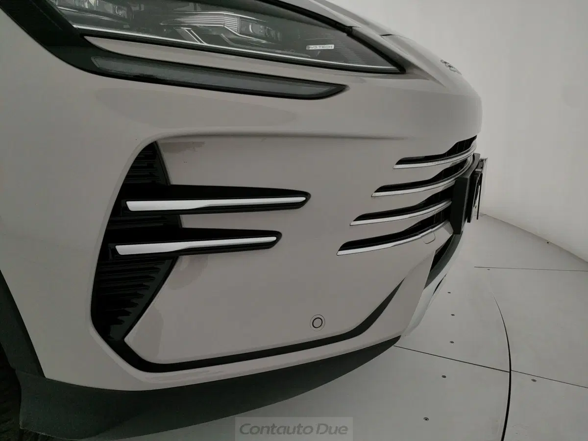 Byd Seal U DM-i usata a Caserta (10)