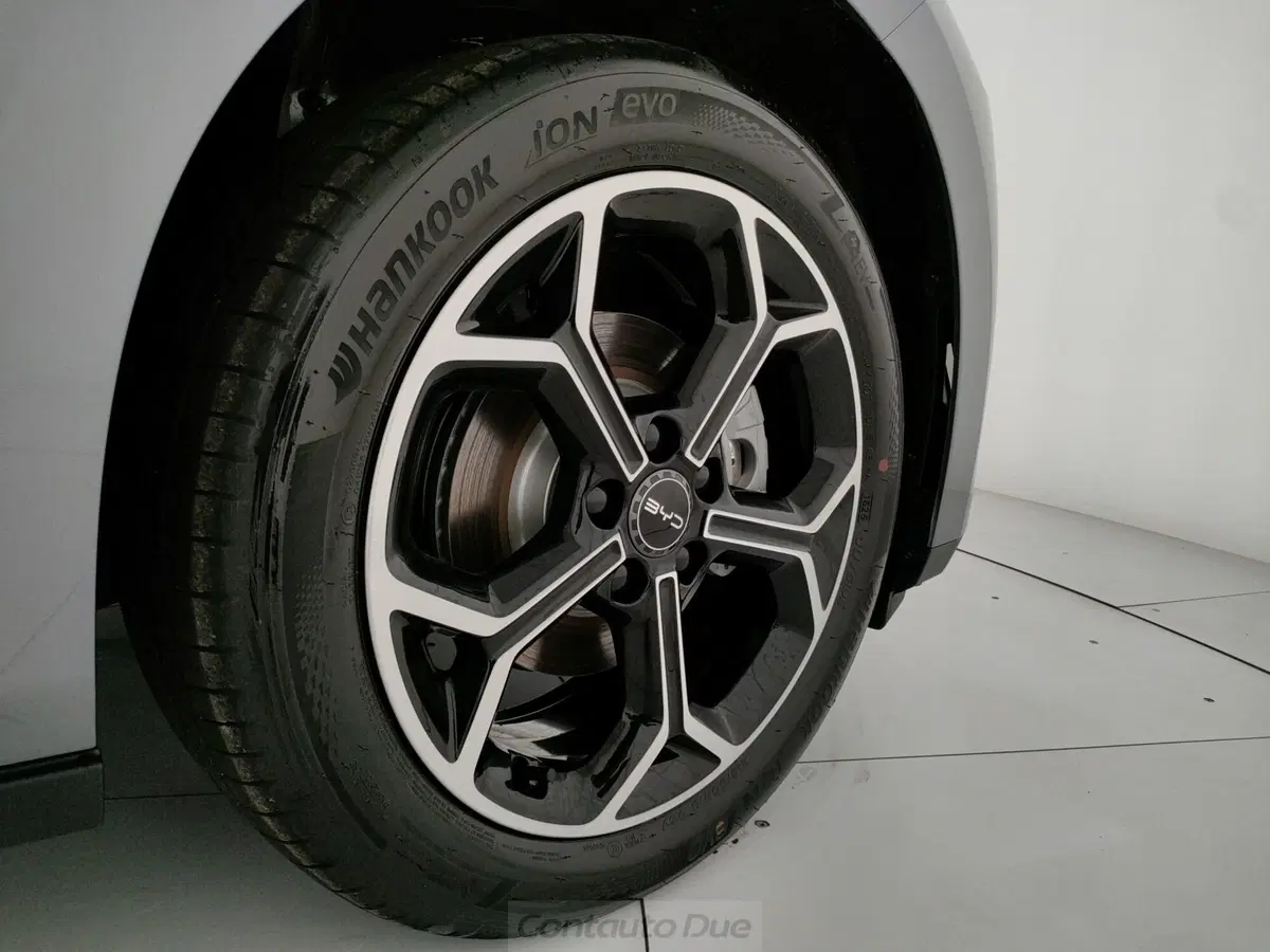 Byd Dolphin G DM-i nuova a Caserta (18)