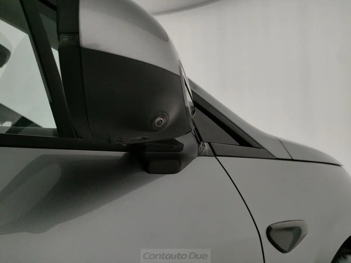 Byd Dolphin G DM-i nuova a Caserta (19)