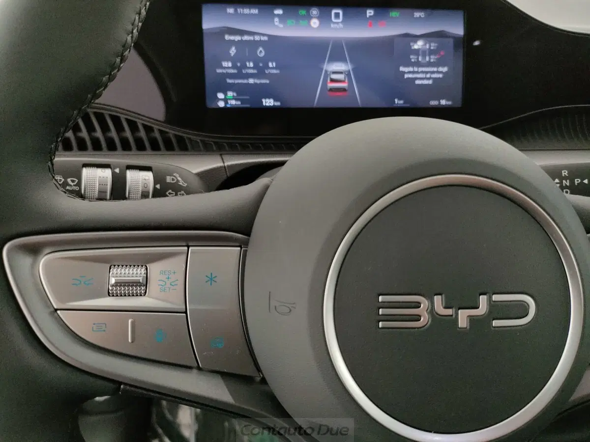 Byd Dolphin G DM-i nuova a Caserta (10)