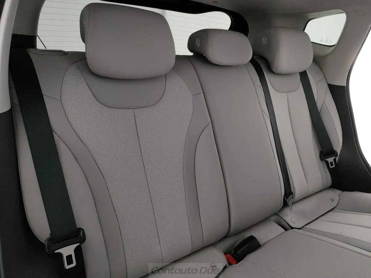 Byd Dolphin G DM-i nuova a Caserta (13)