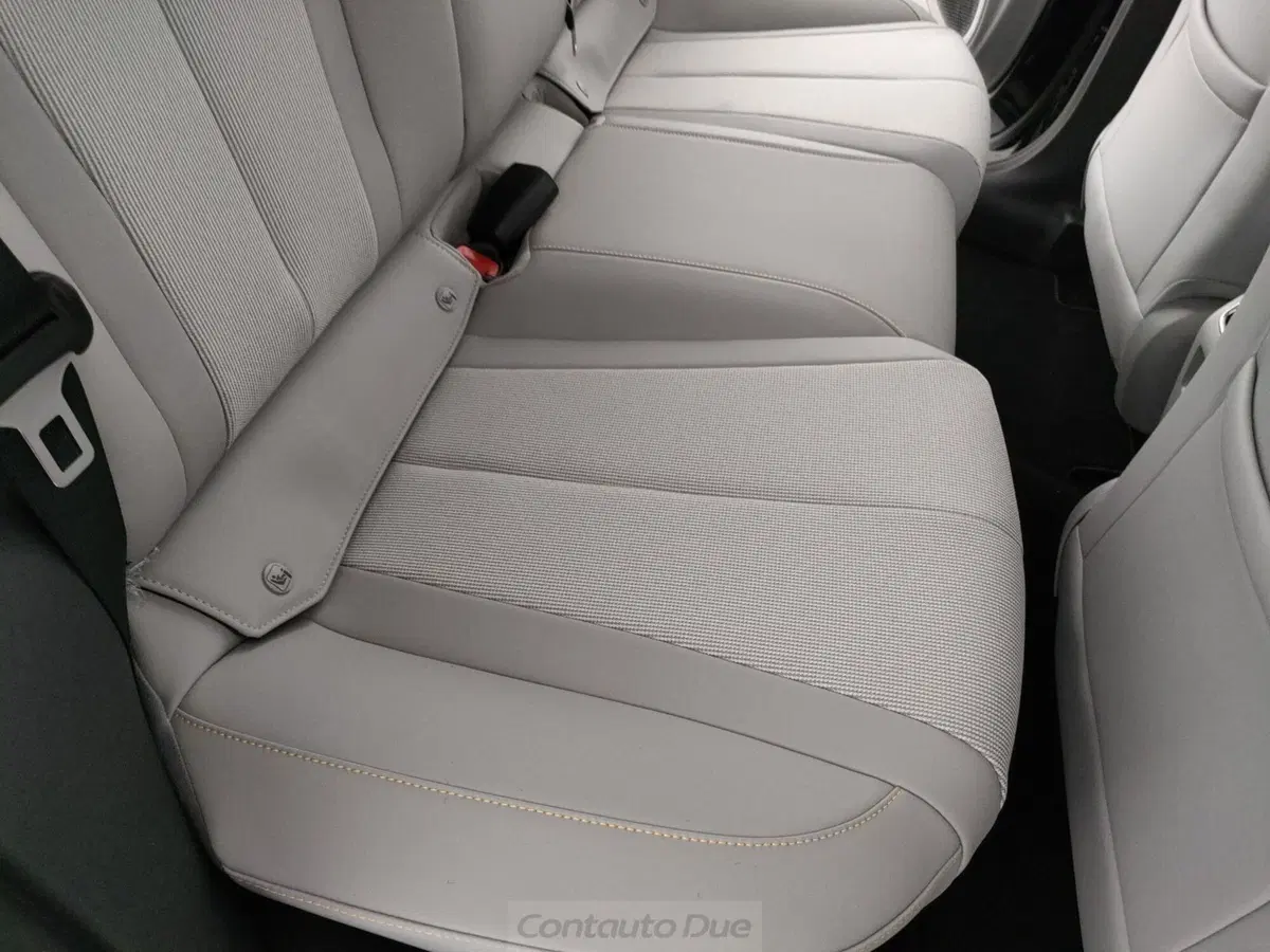 Byd Dolphin G DM-i nuova a Caserta (14)