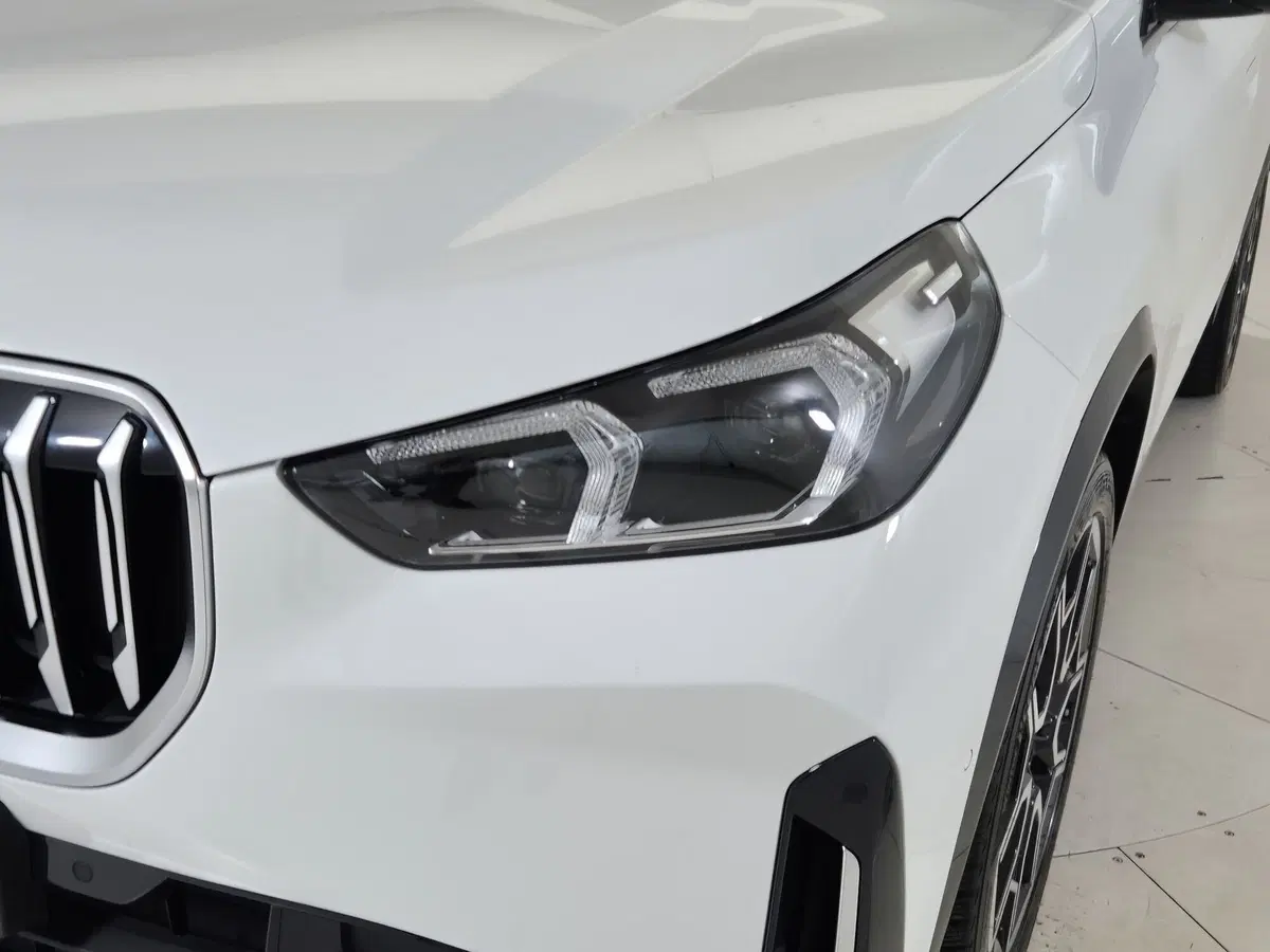 BMW X1 usata a Torino (20)