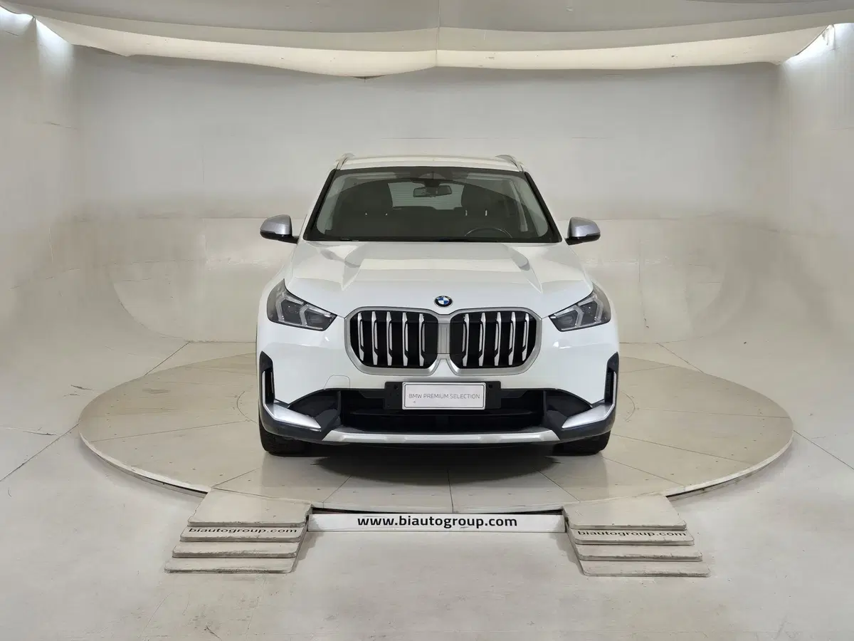 BMW X1 usata a Torino (3)