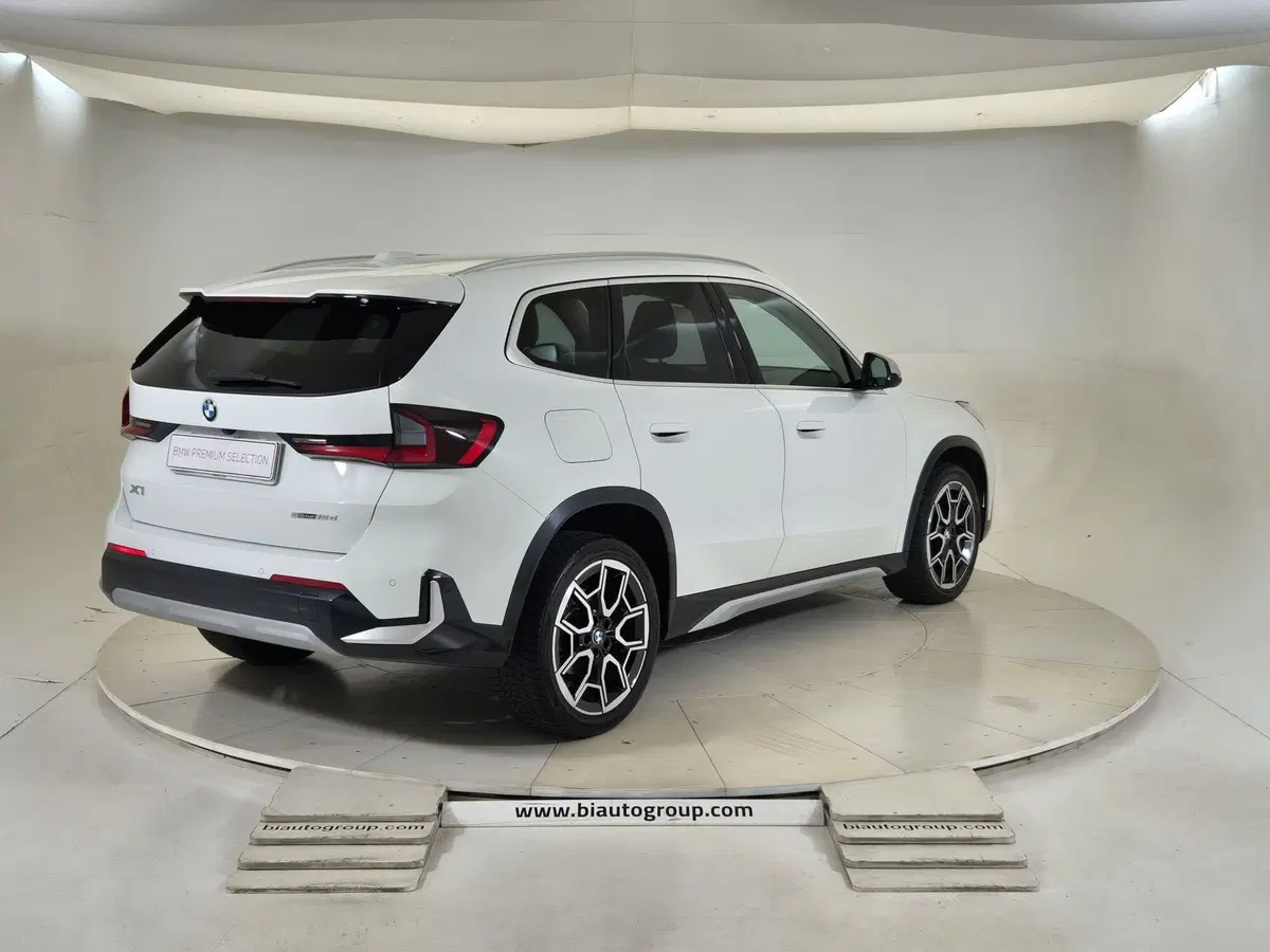 BMW X1 usata a Torino (5)