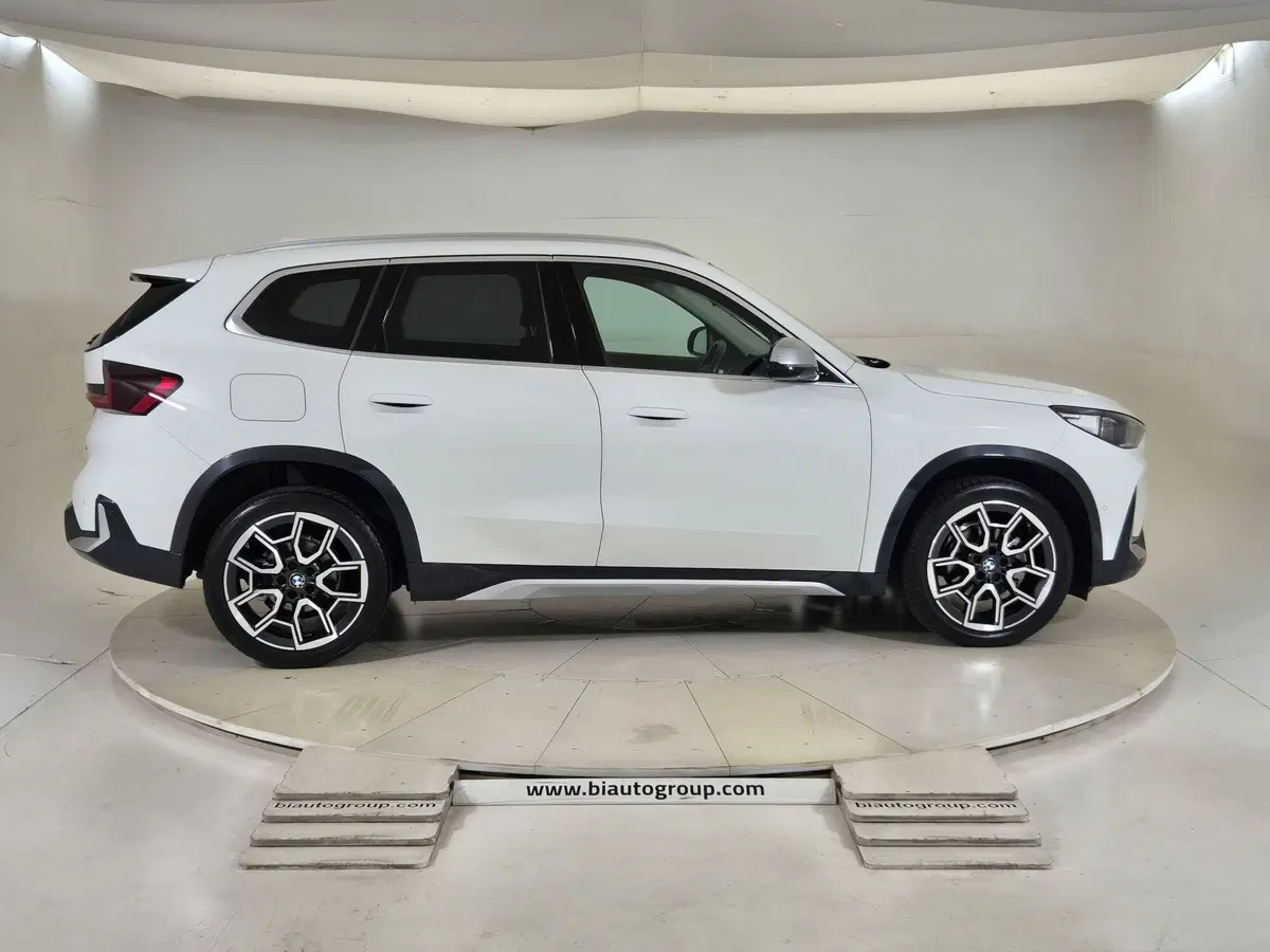 BMW X1 usata a Torino (6)