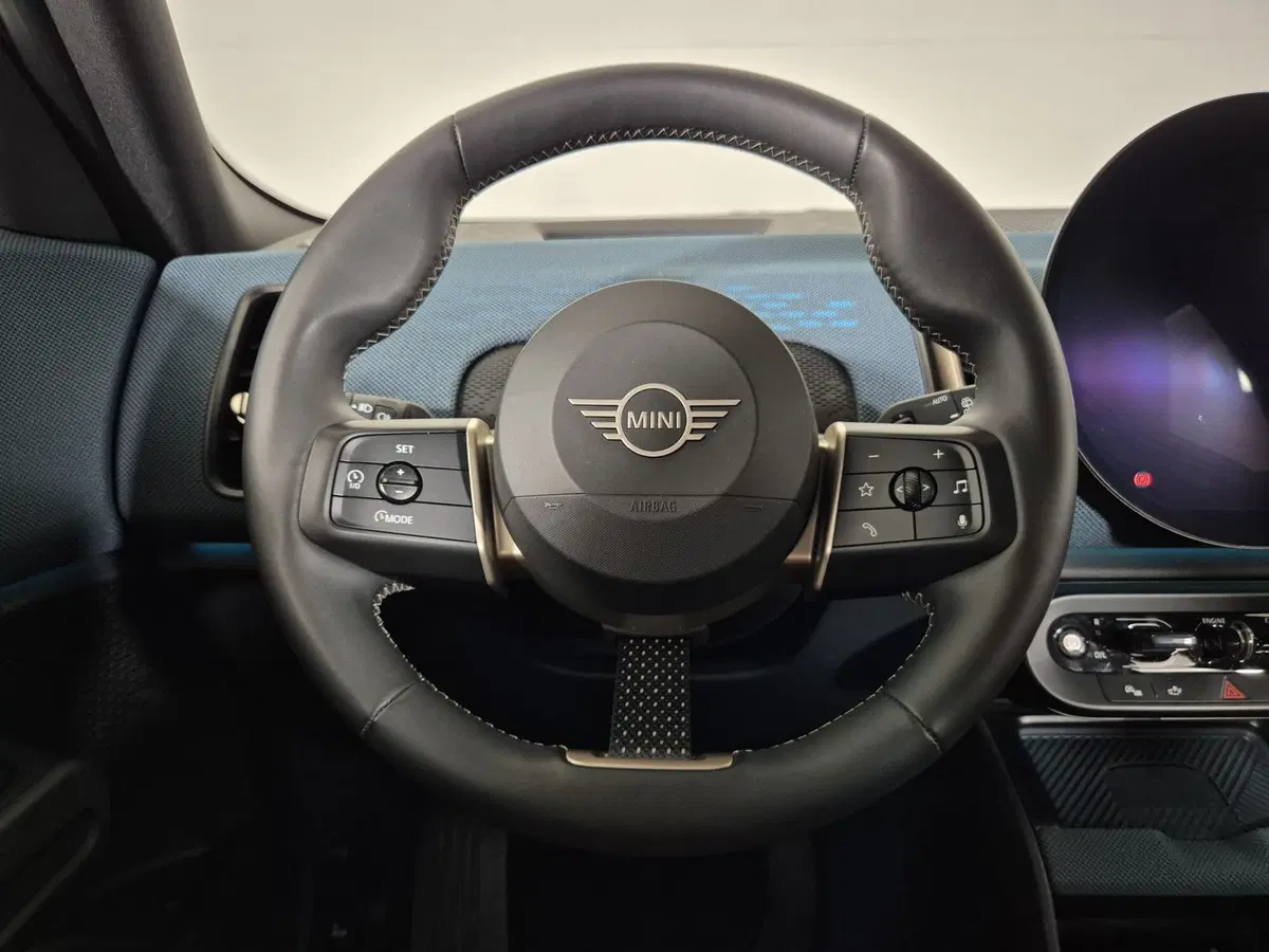 MINI Mini Countryman usata a Torino (20)