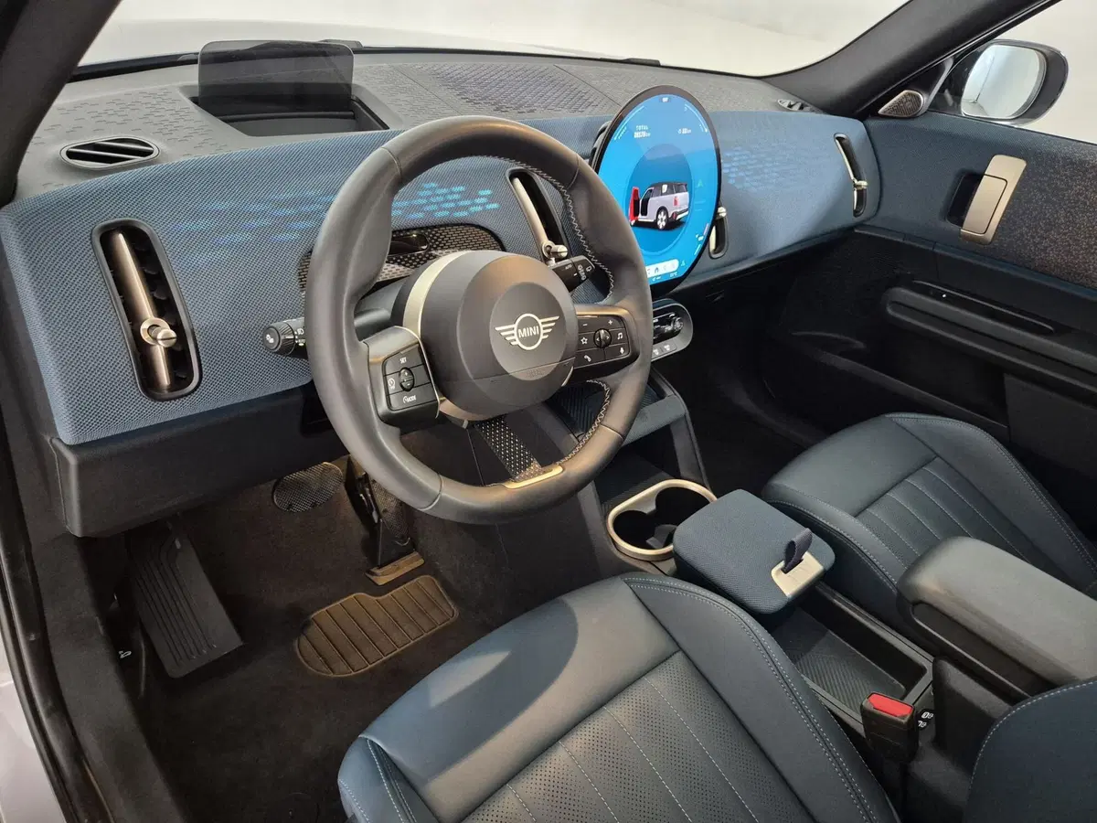 MINI Mini Countryman usata a Torino (7)
