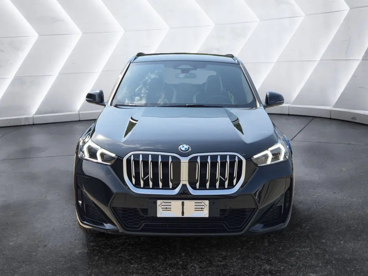 BMW X1 nuova  (2)