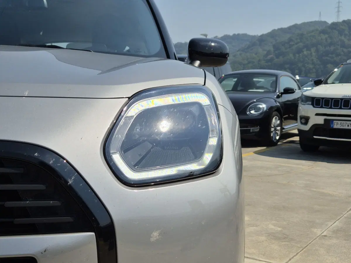 MINI Mini Countryman usata  (18)